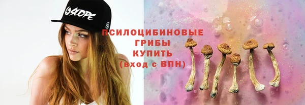 эйфоретик Алзамай