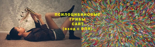 эйфоретик Алзамай