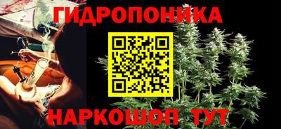 apvp Лесосибирск