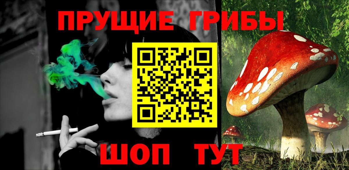Галлюциногенные грибы MAGIC MUSHROOMS  Вход с VPN  Старая Купавна 