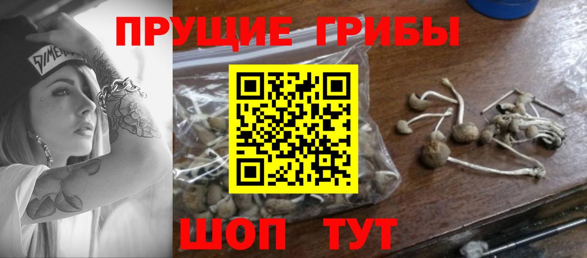 Псилоцибиновые грибы прущие грибы Старая Купавна