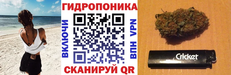 купить закладку  Старая Купавна  Каннабис гибрид 